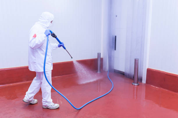 Paint Preparation in Novi, MI